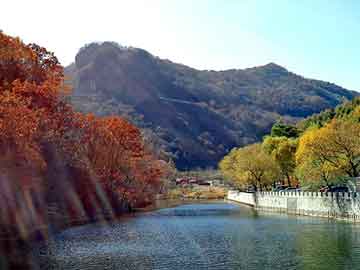 天天彩好彩天天免费，永生纵横